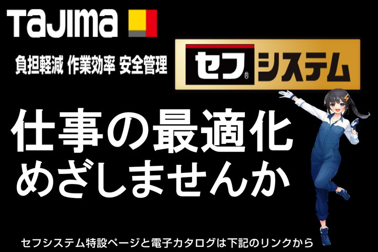 セフシステム