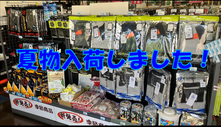 夏物入荷